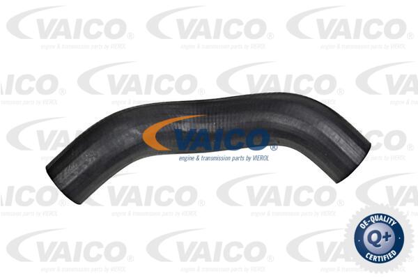 Gaine de suralimentation VAICO V42-0585