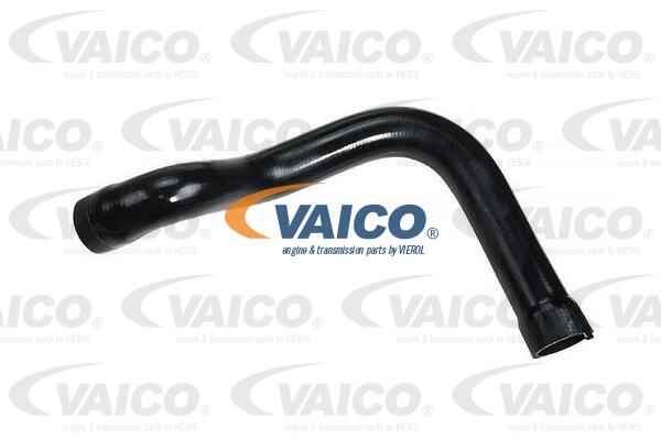 Gaine de suralimentation VAICO V42-0586