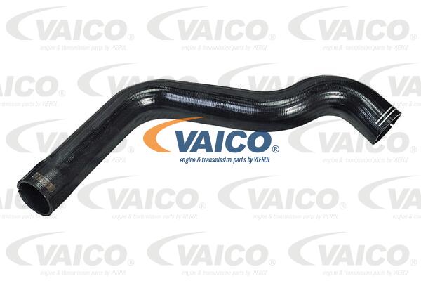 Gaine de suralimentation VAICO V42-0588