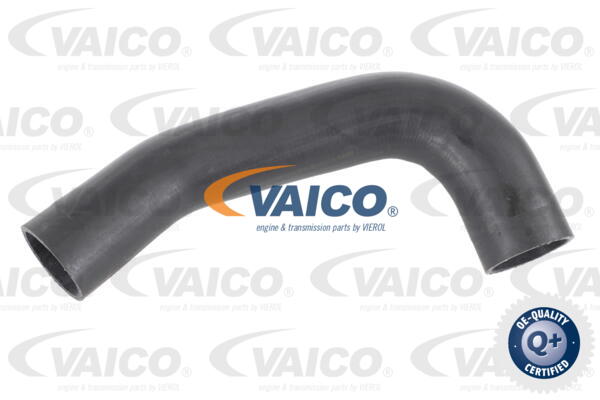 Gaine de suralimentation VAICO V42-0593