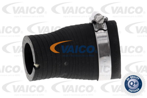 Gaine de suralimentation VAICO V42-0597