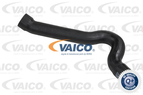 Gaine de suralimentation VAICO V42-0605