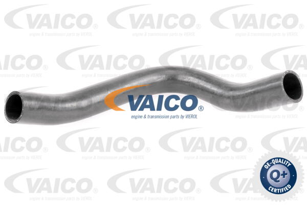 Gaine de suralimentation VAICO V42-0609