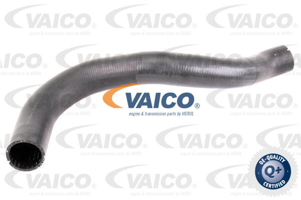 Gaine de suralimentation VAICO V42-0610