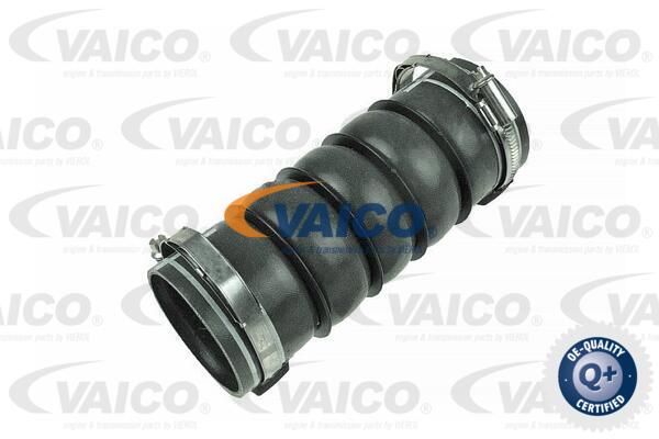 Gaine de suralimentation VAICO V42-0614