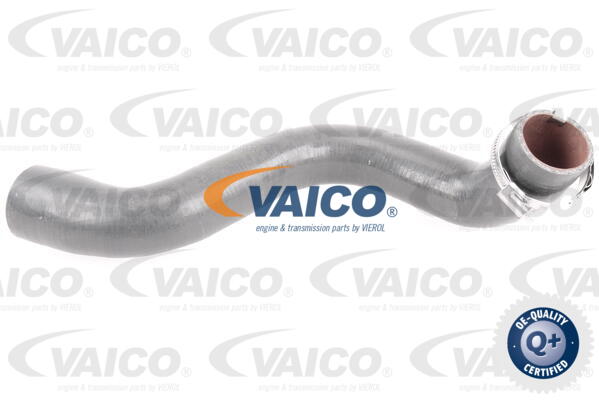 Gaine de suralimentation VAICO V46-0823