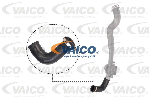 Gaine de suralimentation VAICO V46-0828