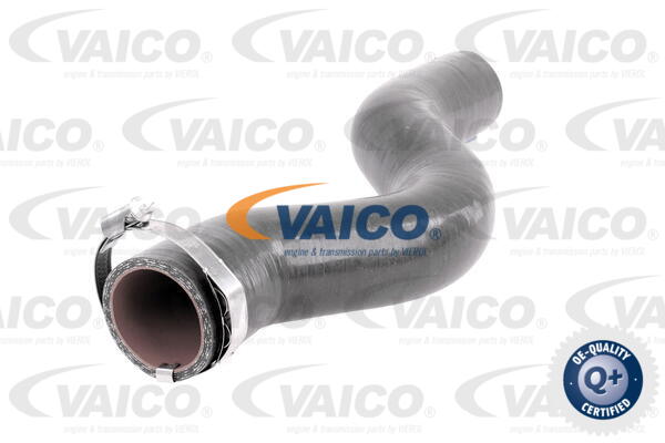 Gaine de suralimentation VAICO V46-1034