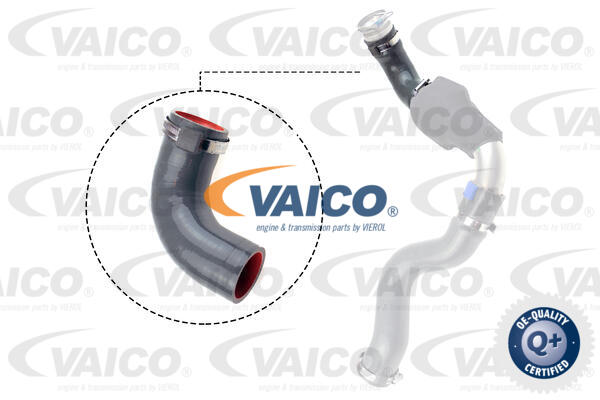 Gaine de suralimentation VAICO V46-1035