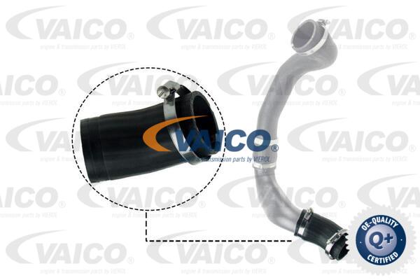 Gaine de suralimentation VAICO V48-0186