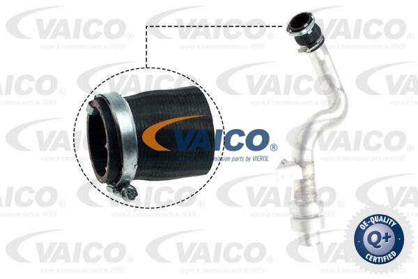 Gaine de suralimentation VAICO V48-0192