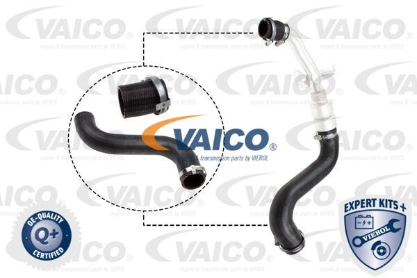 Gaine de suralimentation VAICO V48-0197