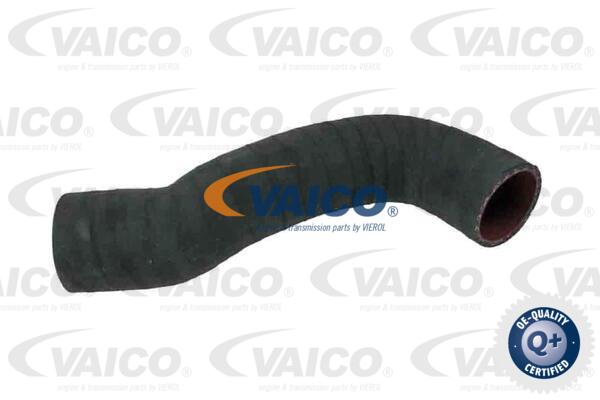 Gaine de suralimentation VAICO V95-0351