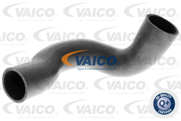 Gaine de suralimentation VAICO V95-0352