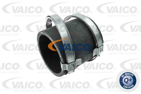 Gaine de suralimentation VAICO V95-0355