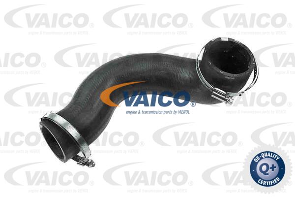 Gaine de suralimentation VAICO V95-0356