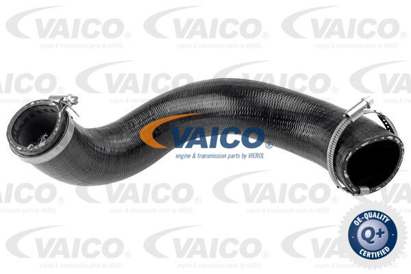 Gaine de suralimentation VAICO V95-0487