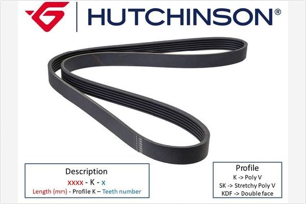 Courroie d'accessoires HUTCHINSON 1000 K 5