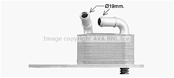 Radiateur d'huile AVA QUALITY COOLING FD3666