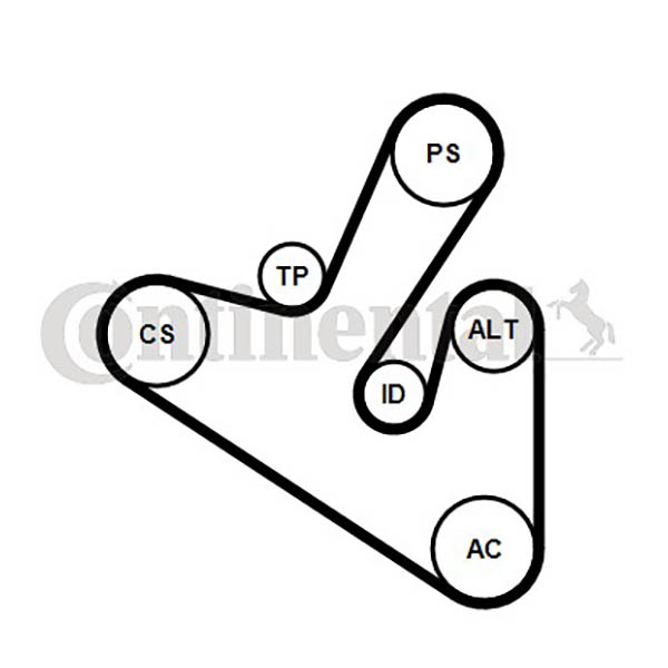 Kit de courroies d'accessoires CONTITECH 6PK1710K1