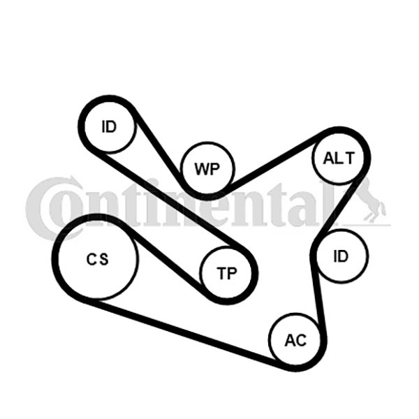 Kit de courroies d'accessoires CONTITECH 7PK1570K1