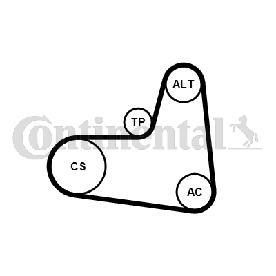 Kit de courroies d'accessoires CONTITECH 6PK1005K1