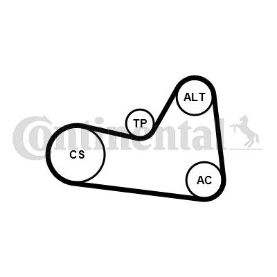 Kit de courroies d'accessoires CONTITECH 6PK1026K1