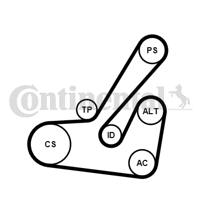 Kit de courroies d'accessoires CONTITECH 6PK1145K2