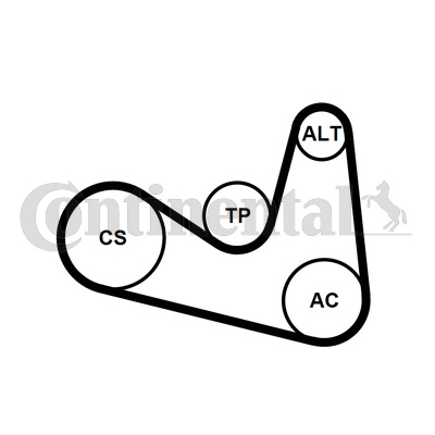 Kit de courroies d'accessoires CONTITECH 6PK1180K2