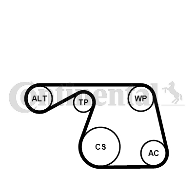 Kit de courroies d'accessoires CONTITECH 6PK1310K1