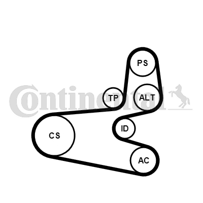 Kit de courroies d'accessoires CONTITECH 6PK1560K1