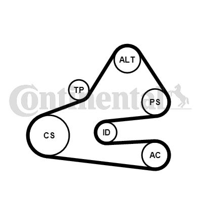 Kit de courroies d'accessoires CONTITECH 6PK1613K1