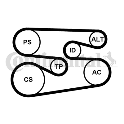 Kit de courroies d'accessoires CONTITECH 6PK1698K1