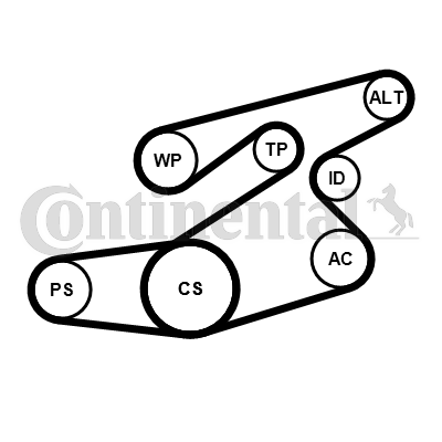 Kit de courroies d'accessoires CONTITECH 6PK1836K1