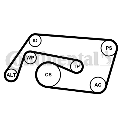 Kit de courroies d'accessoires CONTITECH 6PK2260K2