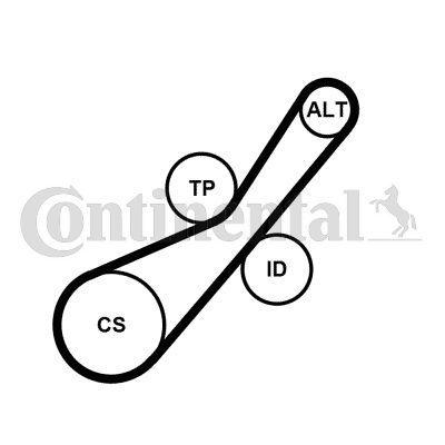 Kit de courroies d'accessoires CONTITECH 6PK800K2