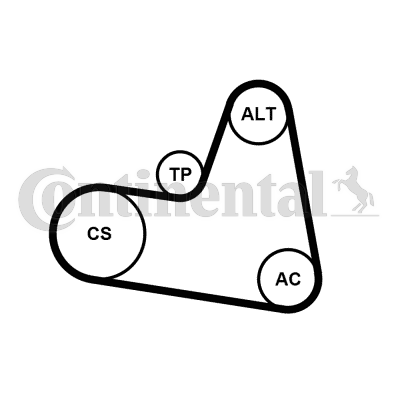 Kit de courroies d'accessoires CONTITECH 6PK962K1