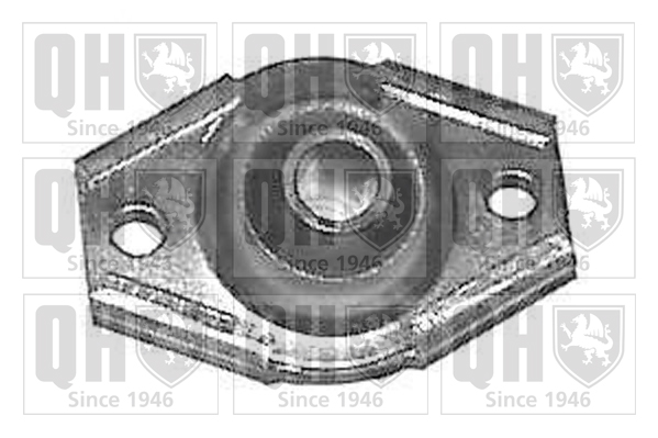 Silentbloc de bras de liaison QUINTON HAZELL EMS2030