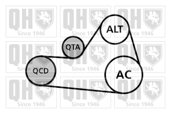 Kit de courroies d'accessoires QUINTON HAZELL QDK104