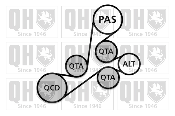 Kit de courroies d'accessoires QUINTON HAZELL QDK105