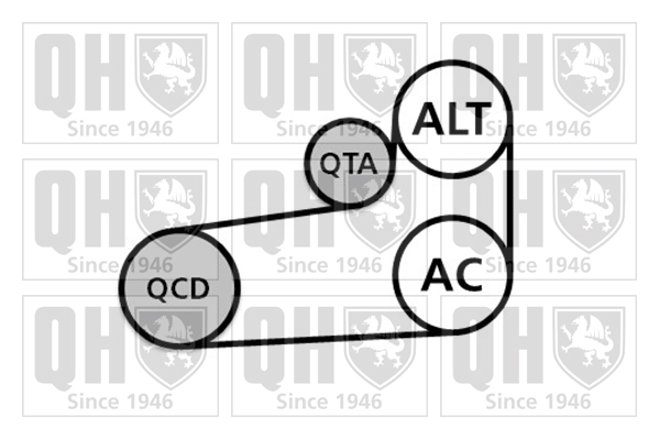 Kit de courroies d'accessoires QUINTON HAZELL QDK108