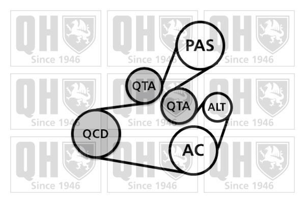 Kit de courroies d'accessoires QUINTON HAZELL QDK111