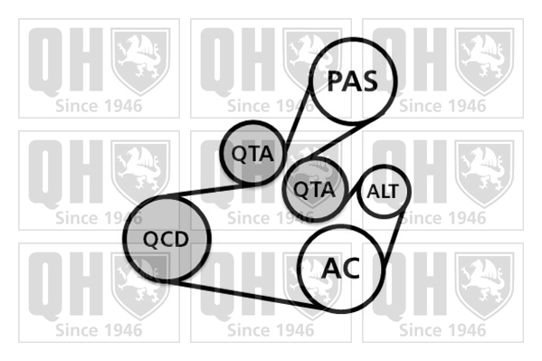 Kit de courroies d'accessoires QUINTON HAZELL QDK112