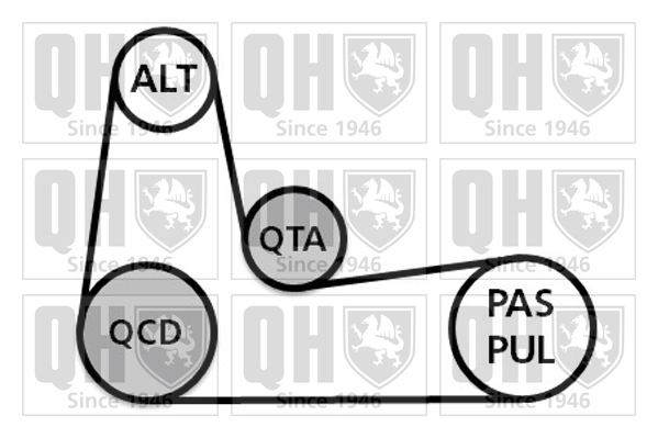 Kit de courroies d'accessoires QUINTON HAZELL QDK116