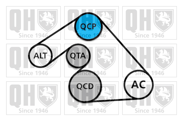 Kit de courroies d'accessoires QUINTON HAZELL QDK121