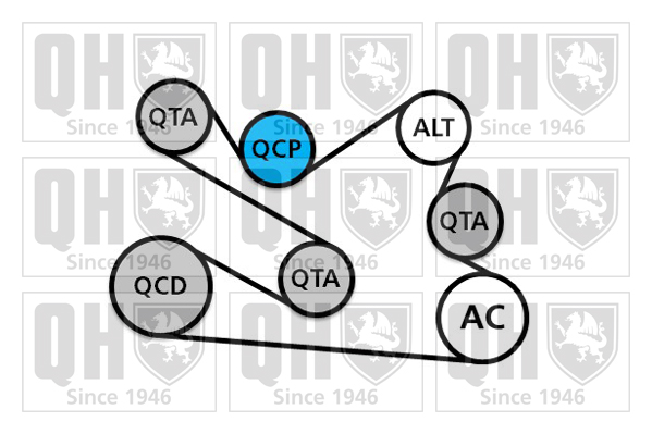 Kit de courroies d'accessoires QUINTON HAZELL QDK137
