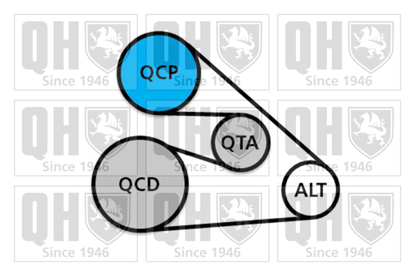 Kit de courroies d'accessoires QUINTON HAZELL QDK142