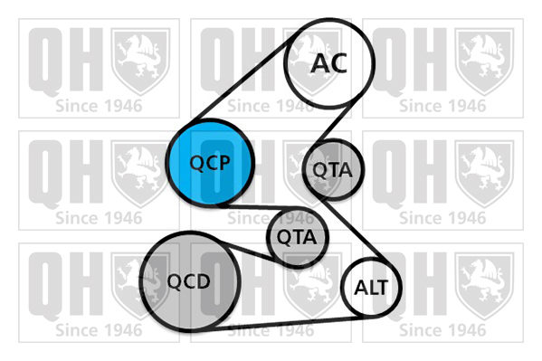 Kit de courroies d'accessoires QUINTON HAZELL QDK143