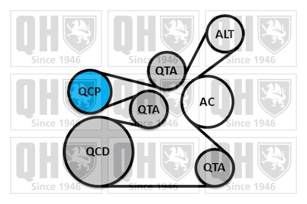 Kit de courroies d'accessoires QUINTON HAZELL QDK148