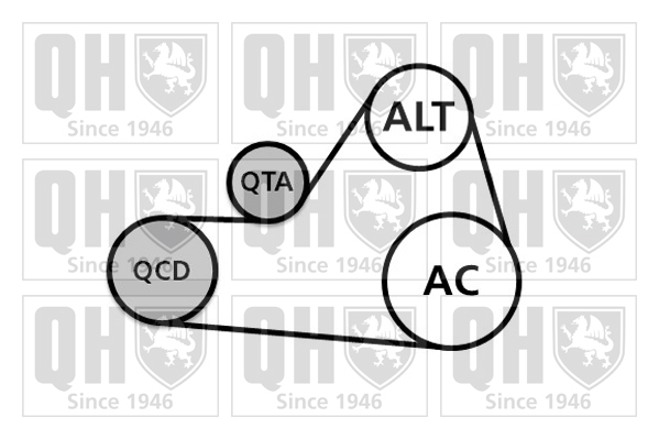 Kit de courroies d'accessoires QUINTON HAZELL QDK151